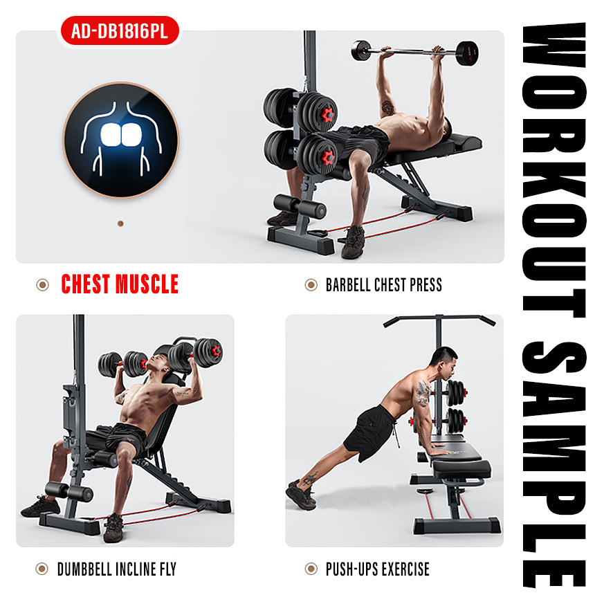 Dumbbell Bench with Lat Pull DB1816PL