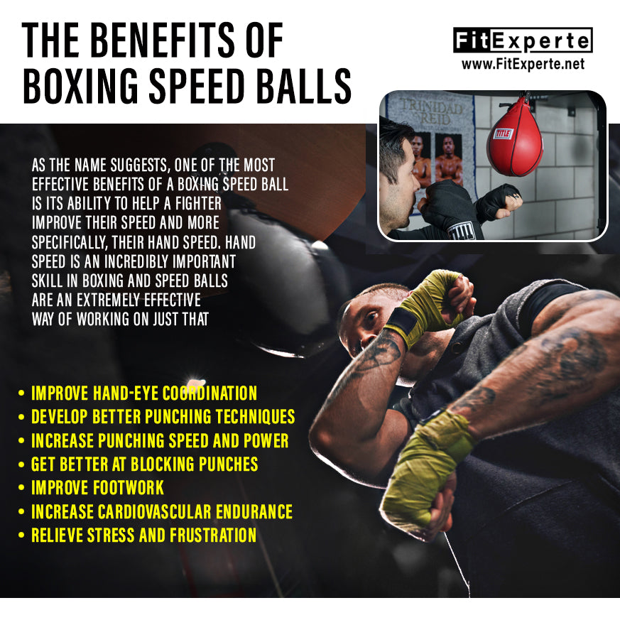 FitExperte 2in1 Standing Punching Bag Boxing Speed Ball FE-BXT7600